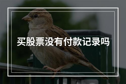 买股票没有付款记录吗