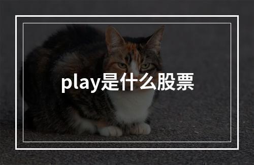 play是什么股票