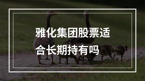 雅化集团股票适合长期持有吗