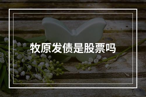 牧原发债是股票吗