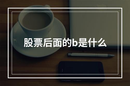 股票后面的b是什么