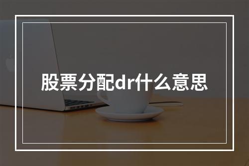 股票分配dr什么意思