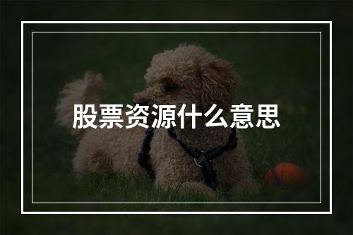 股票资源什么意思