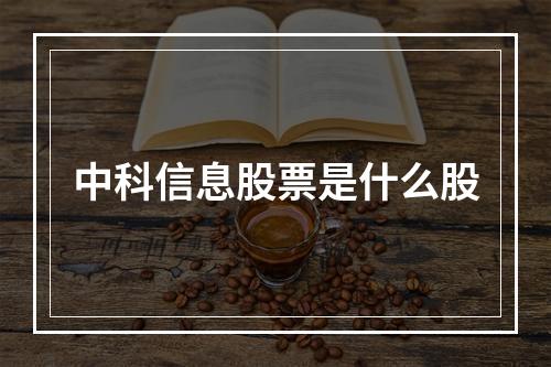 中科信息股票是什么股