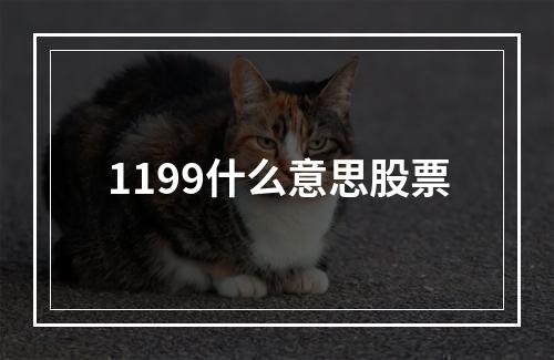 1199什么意思股票