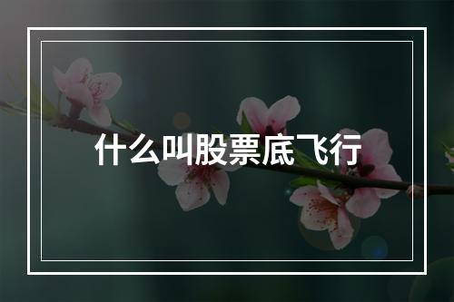 什么叫股票底飞行