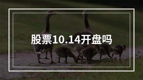 股票10.14开盘吗