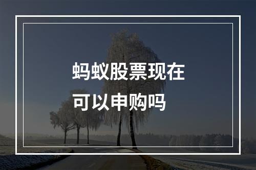 蚂蚁股票现在可以申购吗