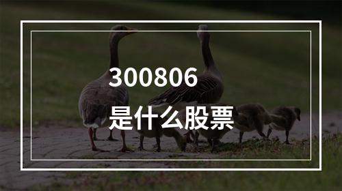 300806是什么股票