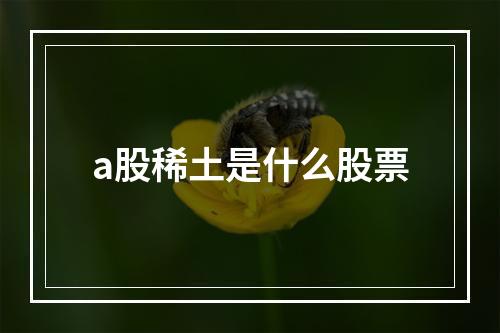 a股稀土是什么股票