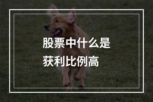 股票中什么是获利比例高