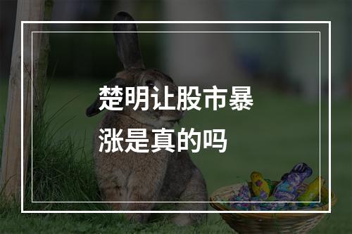 楚明让股市暴涨是真的吗