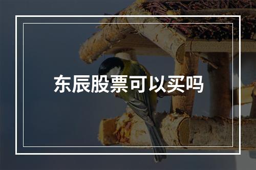 东辰股票可以买吗