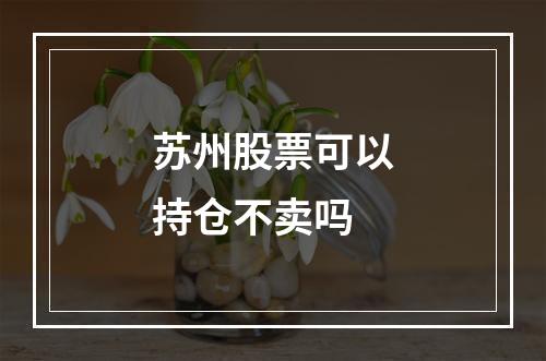 苏州股票可以持仓不卖吗