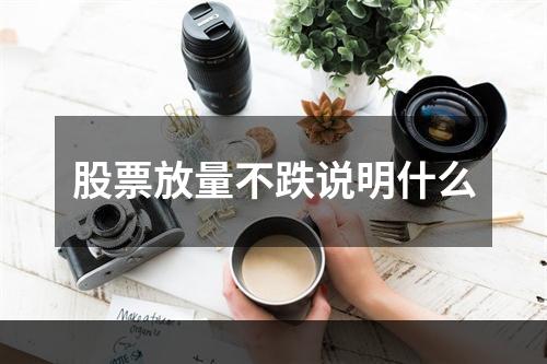 股票放量不跌说明什么