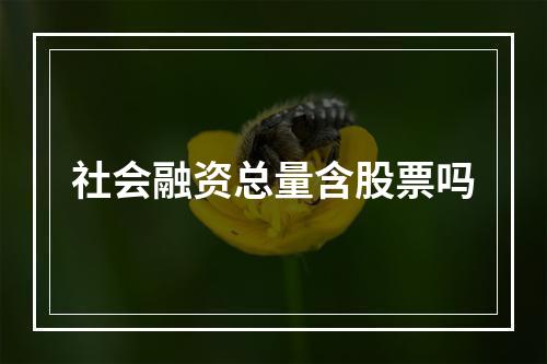 社会融资总量含股票吗