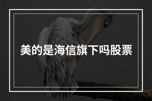 美的是海信旗下吗股票