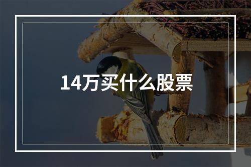 14万买什么股票