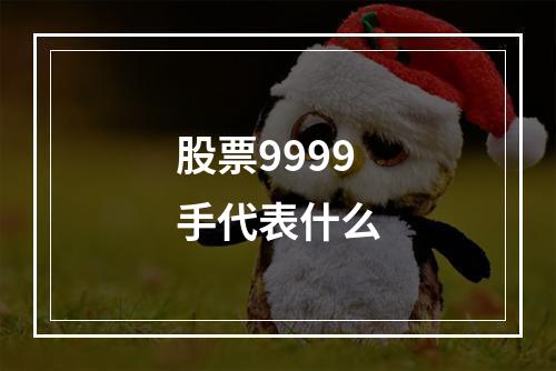 股票9999手代表什么