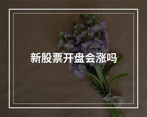 新股票开盘会涨吗