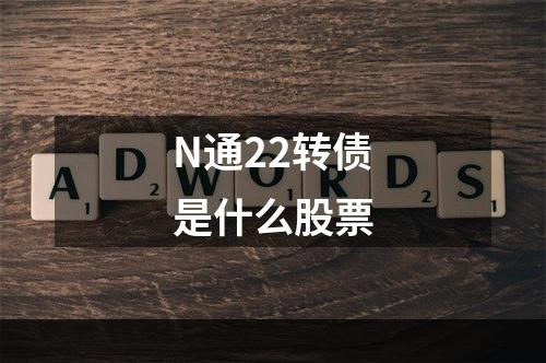 N通22转债是什么股票