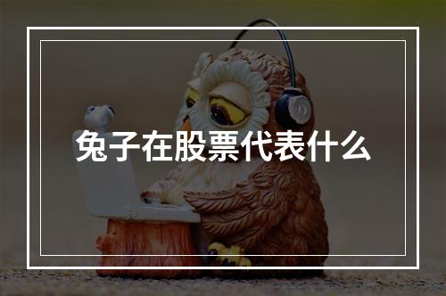 兔子在股票代表什么