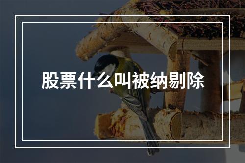 股票什么叫被纳剔除