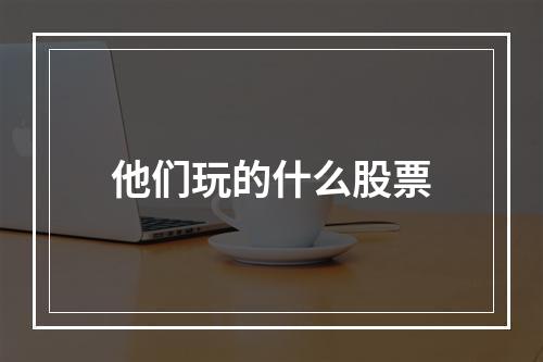 他们玩的什么股票