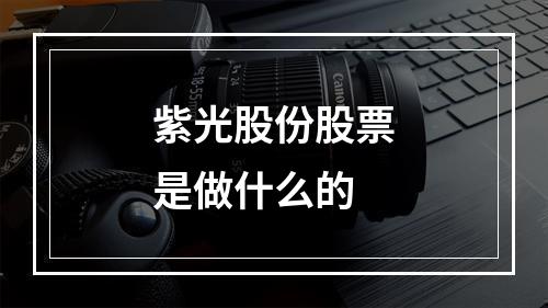 紫光股份股票是做什么的