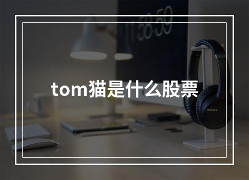 tom猫是什么股票