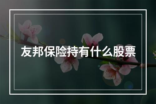 友邦保险持有什么股票