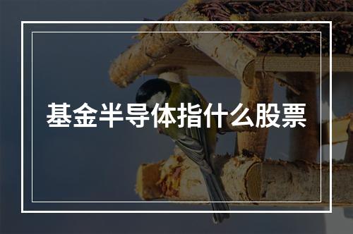 基金半导体指什么股票