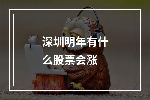 深圳明年有什么股票会涨