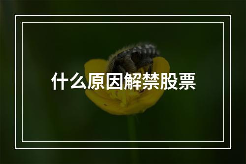 什么原因解禁股票