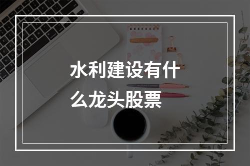 水利建设有什么龙头股票