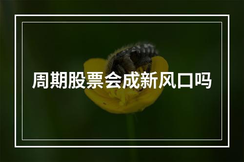 周期股票会成新风口吗