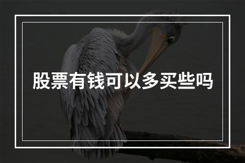 股票有钱可以多买些吗