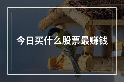 今日买什么股票最赚钱