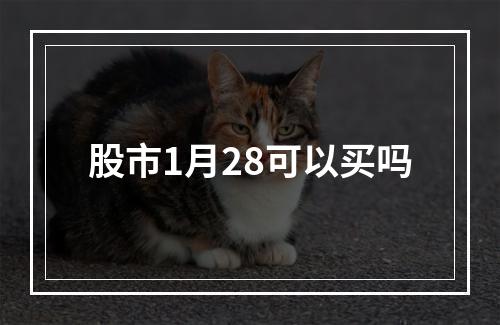 股市1月28可以买吗