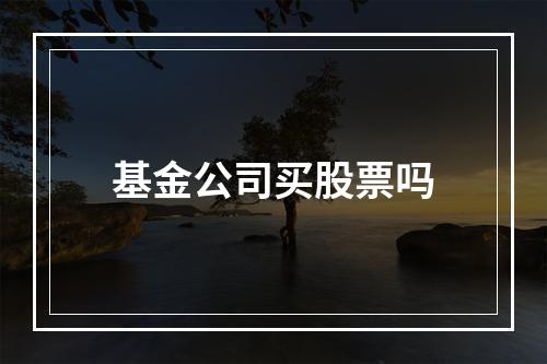 基金公司买股票吗