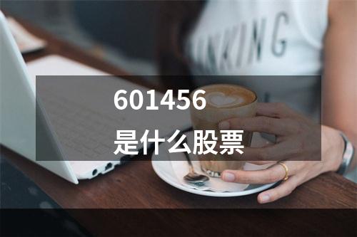 601456是什么股票