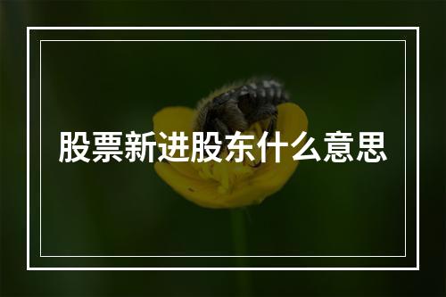 股票新进股东什么意思