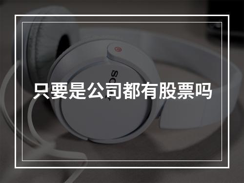 只要是公司都有股票吗