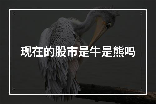 现在的股市是牛是熊吗