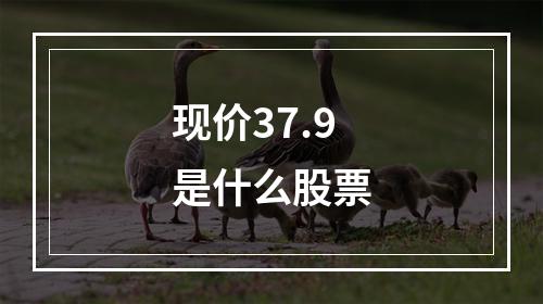 现价37.9是什么股票