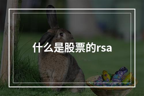 什么是股票的rsa