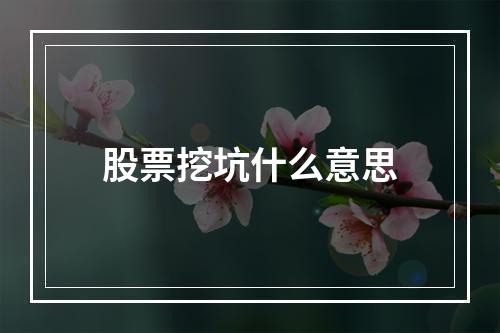 股票挖坑什么意思