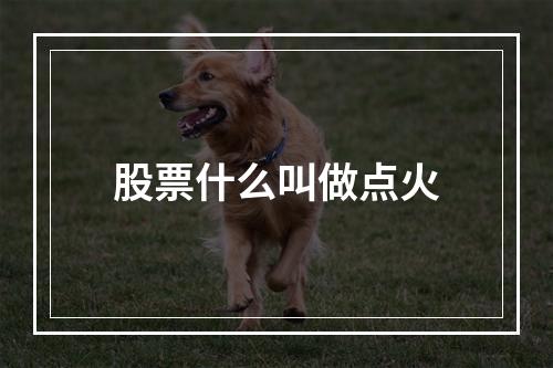 股票什么叫做点火