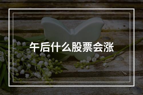 午后什么股票会涨