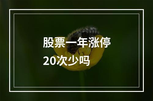 股票一年涨停20次少吗